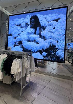 Smarttech Security & Automation