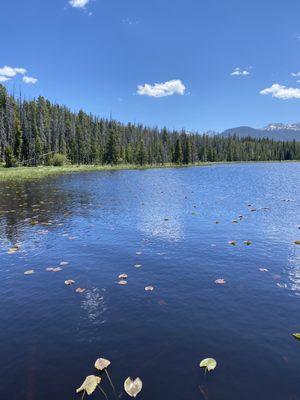 Strawberry Lake Trailhead