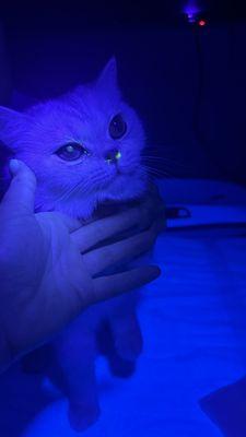 scratch on eye-green spot