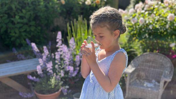 Mermaid Water Solutions - Enjoy Clear, Clean Drinking Water