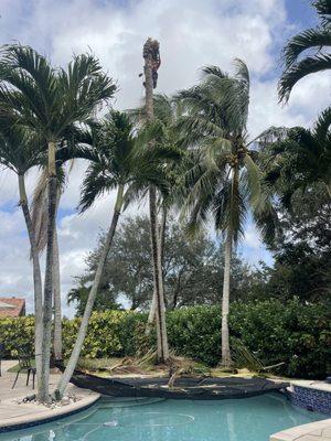 Lopez Landscaping & Maintenance of Broward