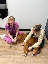 Fish Creek Animal Hospital