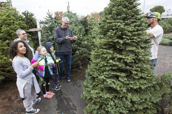 Find your perfect tree. bring the family.