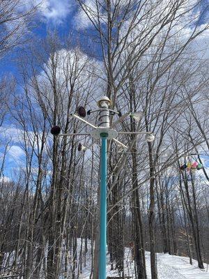 Michigan Legacy Art Park