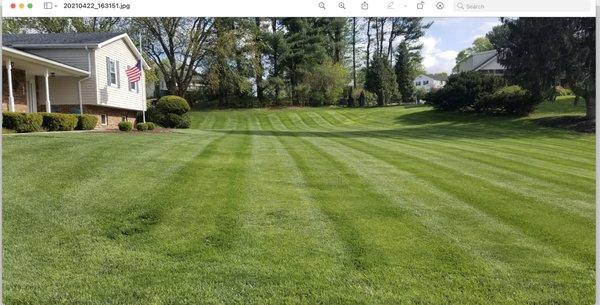 HillSide Lawn Service