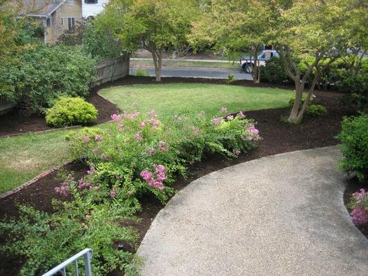 A Cut Above Tree & Landscaping