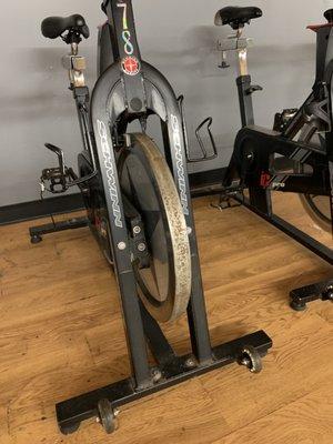 Team Alpha VIP Fitness