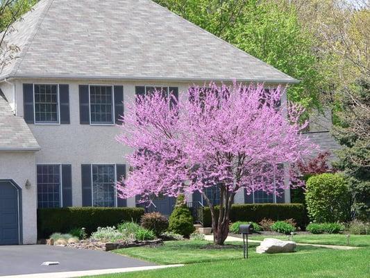 Keystone Tree Expert Co
