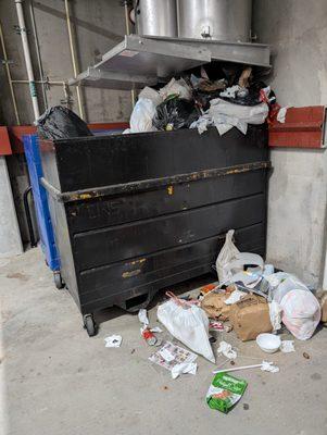 The trash room is filthy- the shoots consistently don't have bins under them. It makes no sense.