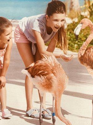 Ciara Winsor Luxury Travel