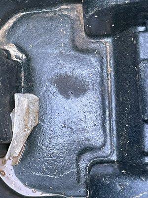 Emillie’s Trash Can Cleaning Services