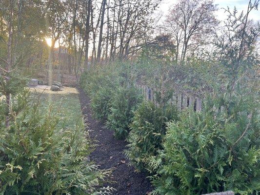 J Campos Landscaping & Construction