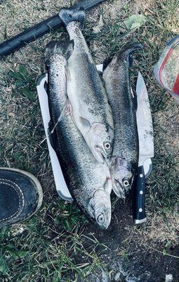 Reagan's Sporting Goods