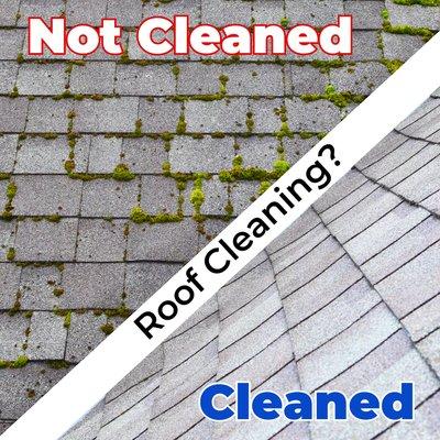 Get your roof free of moss and black streaks