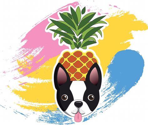 Lowcountry Pet Sitters