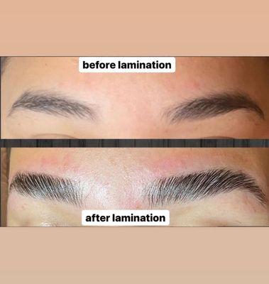 The Freelance Artist