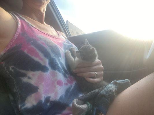 Rosemarie's Rescue Ranch