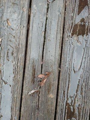 TRU COLOR Painting & Repair