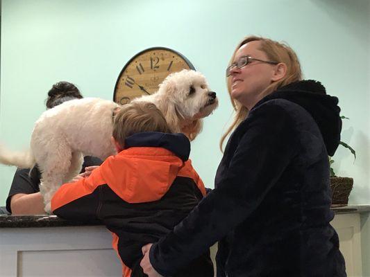 This is Holly the therapy dog at the office who helps nervous kids.