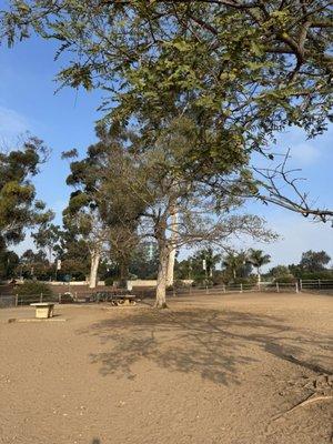 Nate's Point Dog Park - Balboa Park