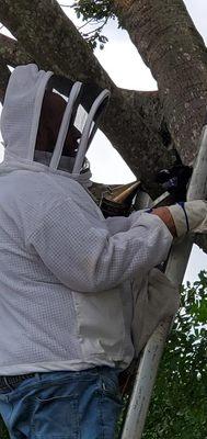 Jose's Bug A Bug Pest, Termites & Lawn