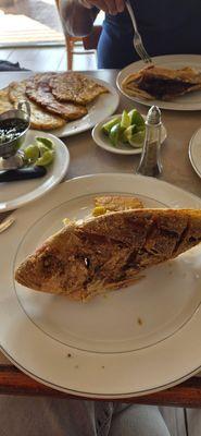 El Tropico Restaurant