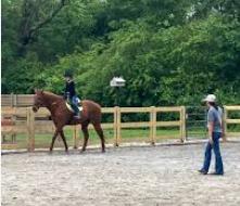 Rising Star Equestrian Center