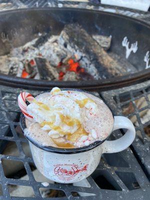 Golden Horseshoe Sleigh Rides