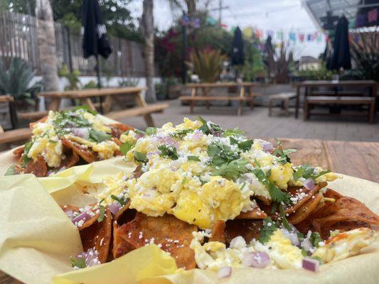 Chilaquiles rojos & scramble eggs
Special for Saturday/Sunday from 12NOON