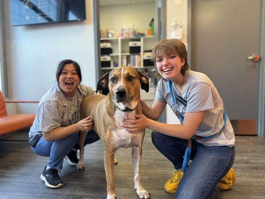 Dogtopia - Mechanicsburg