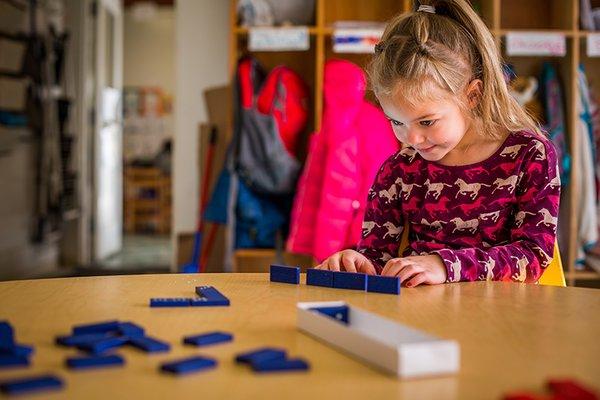 The School in Rose Valley