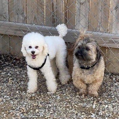Castle Rock Kennels