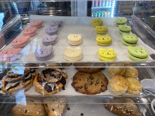 Bertha's Beans Cat Café