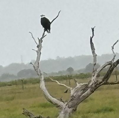 Square 1 Shooting Range and Outdoor Venue