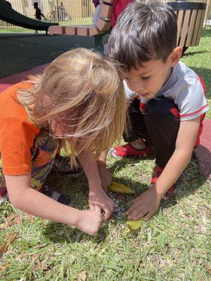 O'Farrill Learning Center