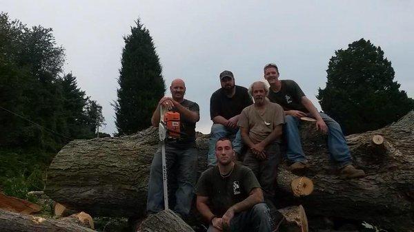 SSC Tree Experts