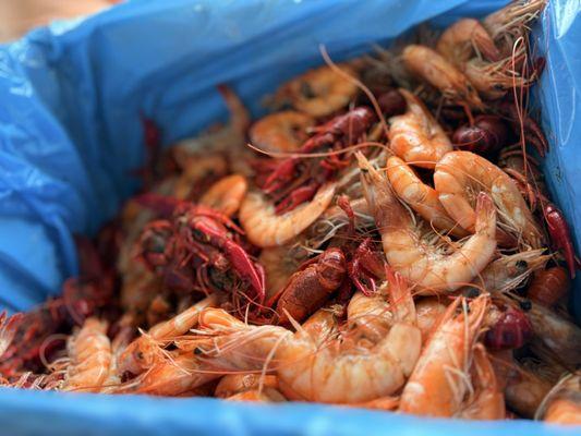 Boiled Shrimp and Crawfish