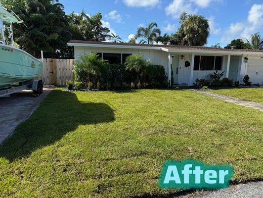 Tree of Life Landscaping Specialist