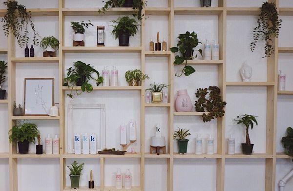 Custom built shelf wall for Craft Beauty Parlor!