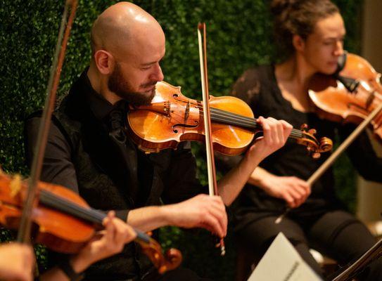 Parkwest Strings Quartet