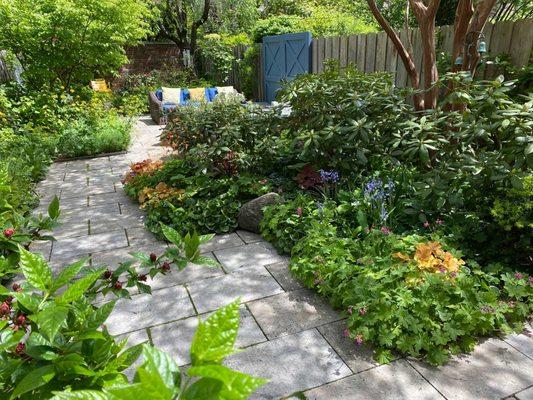 Lush Brooklyn townhouse garden