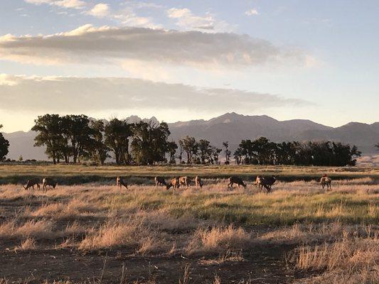 The Nature Conservancy