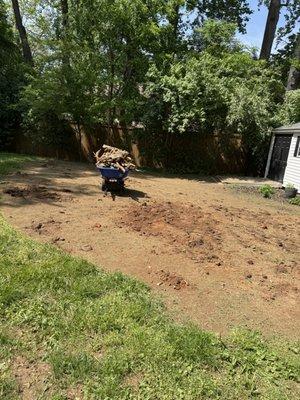 Hidalgo Landscaping Services