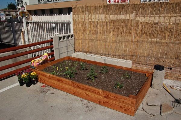 Treehaus Village Family Day Care