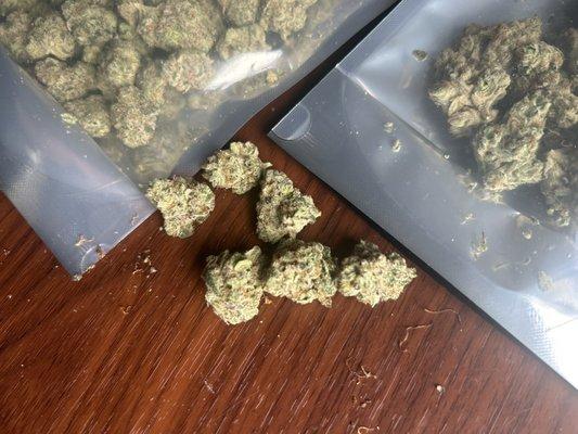 Gogurtz and Georgia runtz