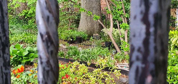 wrought iron fencing