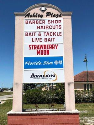 Avalon Insurance Group Inc