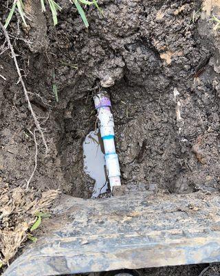 Lions Solution Contractor