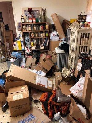 Universal Junk Removal