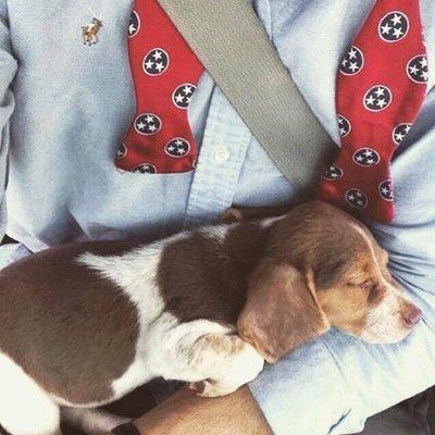 Five Seasons Mens Shop